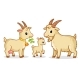 A Family of Goats Stands on a White Background - GraphicRiver Item for Sale
