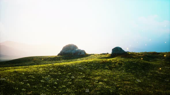 Alpine Meadow with Rocks and Green Grass alt