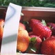 Red Natural Organic strawberries in Basket on Grass - VideoHive Item for Sale