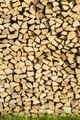 Reserve for the winter stack of firewood - PhotoDune Item for Sale