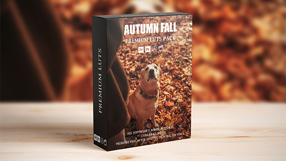 Autumn Fall Cinematic Looks LUTs Pack