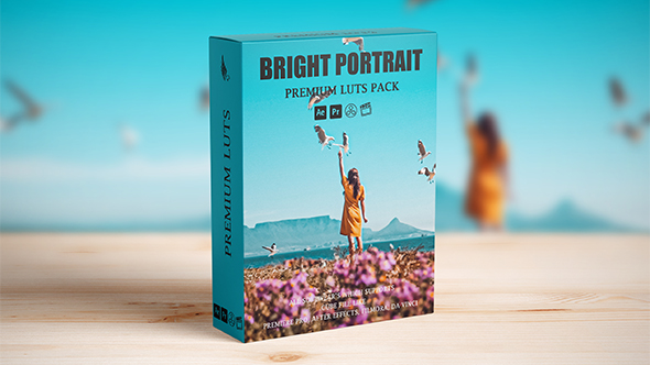 Bright Portrait Cinematic Film LUTs pack