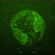 New Green Color Hologram Digital Particle Earth Animated - VideoHive Item for Sale