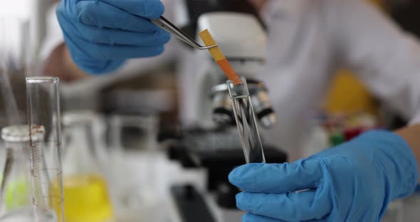 Scientist Chemist Checking Acidity of Liquid in Test Tube Using Litmus Paper Closeup  Movie