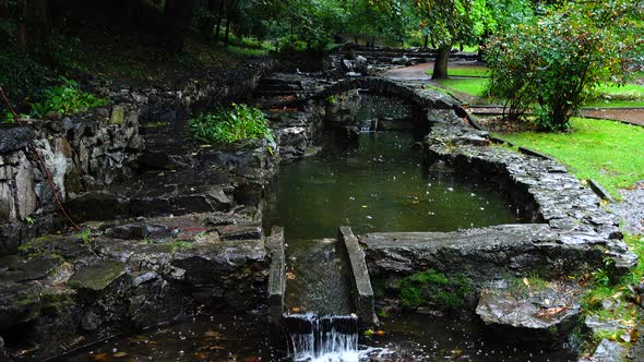 Stream in the Park