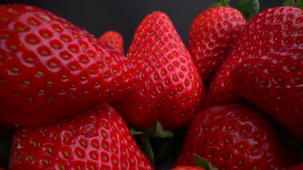 Fresh Ripe Red Strawberries 05