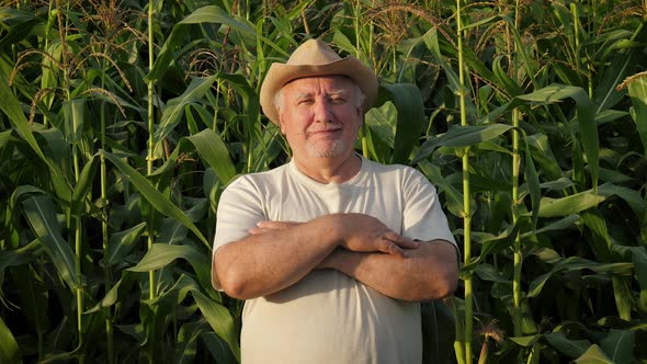 Portrait Man Farmer Stands In Corn Field With His Arms Crossed In Front Of Him