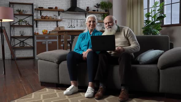 Cheerful Aged Couple During Video Chat at Laptop