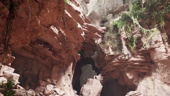 Inside a Limestone Cave with Plants and Sun Shine