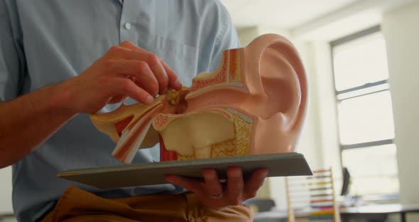 Caucasian male teacher holding anatomical model in classroom at school 4k