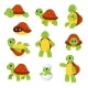 Cartoon Turtle Cute Tortoise Animal Character - GraphicRiver Item for Sale
