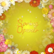 Spring Flowers Titles - VideoHive Item for Sale