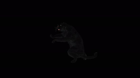 76 Panther Standing Magic Attack 4K