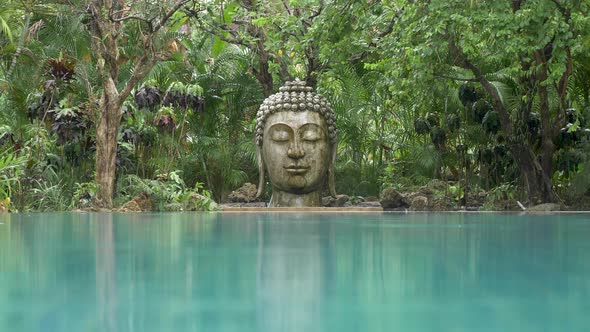 Abandoned Buddha statue in the rain forest water drops background music loop able