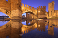 Castelvecchio Bridge over the Adige River in Verona, Italy - PhotoDune Item for Sale