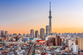 Tokyo, Japan Sumida Skyline - PhotoDune Item for Sale