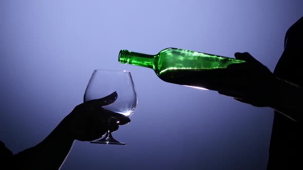 Sommelier Pouring Red Wine Inti Glass. Back Light