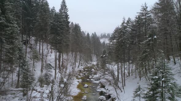 Aerial view of Mostnica gorge in winter season covered with snow