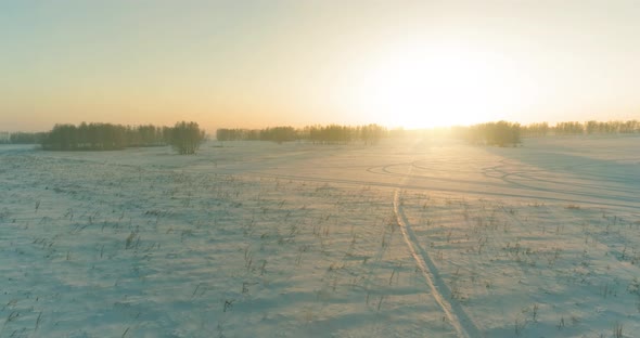 Aerial Drone View of Cold Winter Landscape with Arctic Field Trees Covered with Frost Snow and