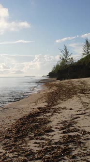 Tanzania  Vertical Video Empty Beach on Zanzibar Island Slow Motion