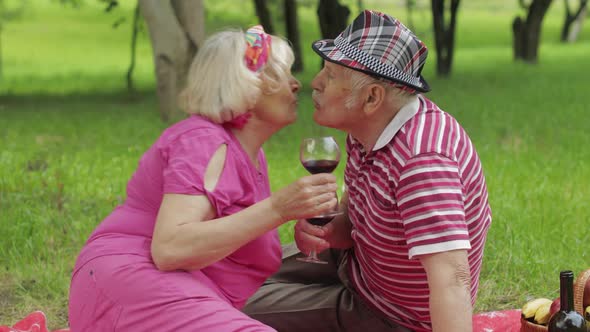 Family Weekend Picnic in Park. Senior Old Couple Sit on Blanket and Drink Wine. Making a Kiss. Love