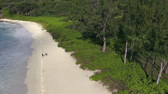 Aerial Beach Footage