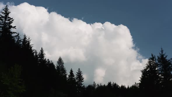 Big clouds above forest