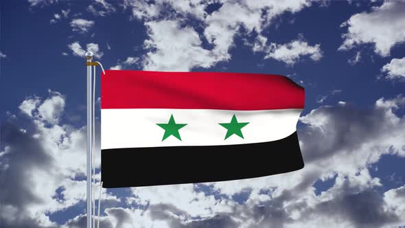 Syria Flag Waving 4k