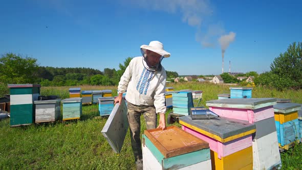 Apiary on village background. Beekeeper in protective hat working near wooden hives. 