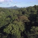 Aerial Shot of Mixed Forest in the North of Thailand - VideoHive Item for Sale