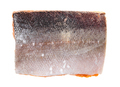 frozen piece of atlantic salmon isolated on white - PhotoDune Item for Sale