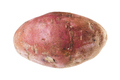 ripe tuber of sweet potato isolated on white - PhotoDune Item for Sale