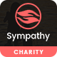 Sympathy | Charity WordPress Theme - ThemeForest Item for Sale