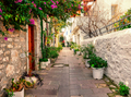 Cobbled street with white and stone walls and flowers - PhotoDune Item for Sale