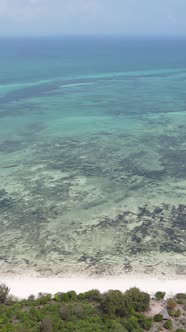 Vertical Video of the Ocean Near the Coast of Zanzibar Tanzania