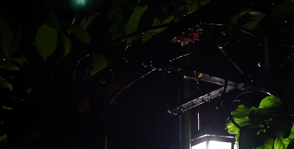 Night Rain 1