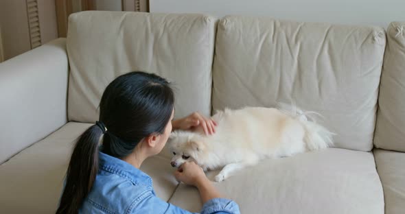 Woman cuddle her pomeranian at home