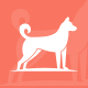 Carine | Dog Breeder & Adoption Elementor Template Kit - ThemeForest Item for Sale