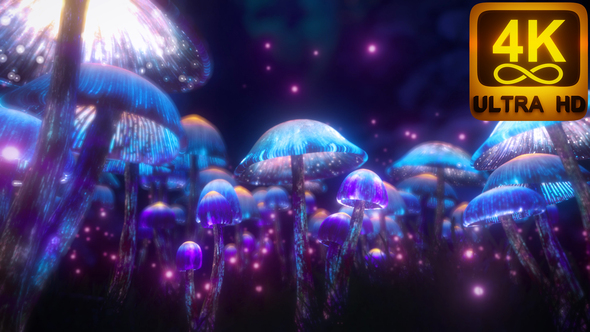 Psychedelic Mushroom Motion Graphics 3D Animation. Blue Magical Forest. A Trippy Vj Loop 4K