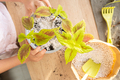 Process of planting coleus houseplant by child in soil mixed with perlite. - PhotoDune Item for Sale