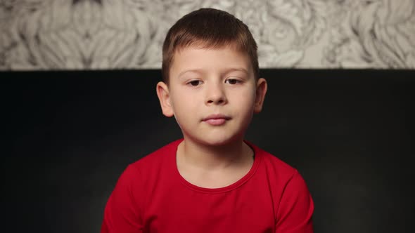 Adorable Young Happy Boy Looking Straight Ahead