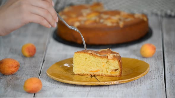 Slice of fresh baked apricot and almond cake