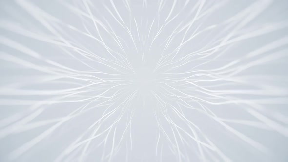 White Abstract Background