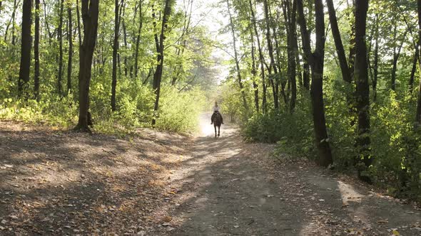 Beautiful Woman Walking with a Black Horse in the Park