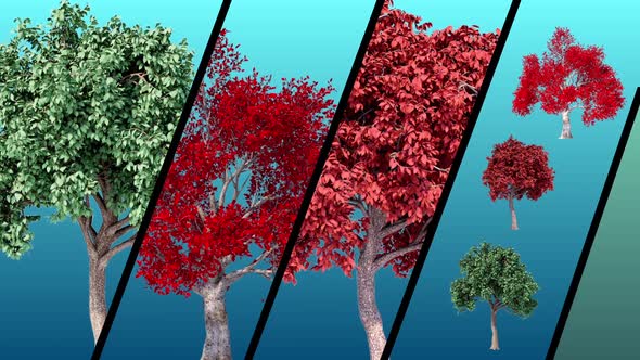 Spring Tree Pack