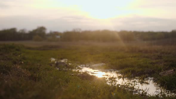 Sunset in the village