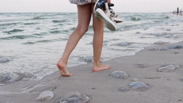 A Girl with Tanned Legs Walks Along the Beach That Was Strewn with Dead Dangerous Jellyfish