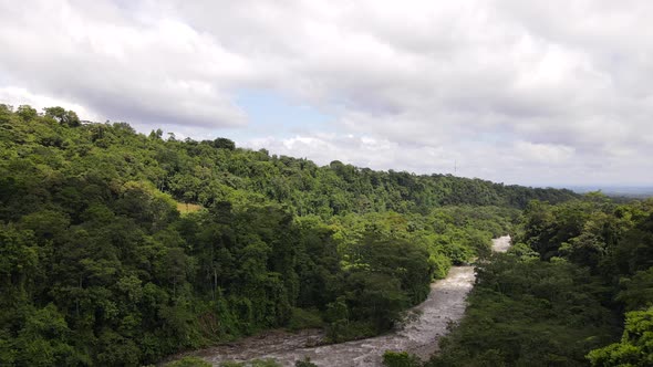 4k aerial footage of backwards flying drone passing high trees very closely. Fast and heavy clouds a