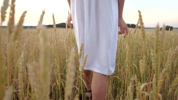 Beautiful Woman Goes To Field of Ripe Golden Wheat