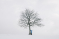 Amazing landscape with a man near lonely snowy tree - PhotoDune Item for Sale